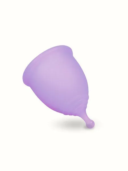 Taynie Menstruationstasse mit Sterilisationsbehälter Taynie Premium Period Cup, Lila, – Produktbild 1 von 4