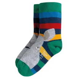 Frugi Frugi Socken Nashorn Perfect pair socks Rainbow Stripe Rhino – Produktbild 1 von 1