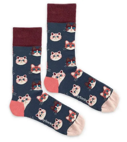 DillySocks DillySocks Socken Kitten aus Biobaumwoll-Mix, Sky kitten, – Produktbild 2 von 5