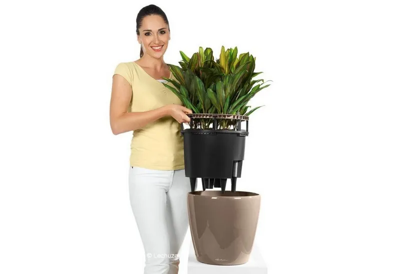 Lechuza® Lechuza® Pflanzkübel Pflanztopf Classico LS 21 schwarz hochglanz, Schwarz, – Produktbild 5 von 6