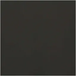 folia folia Plakatkarton 48x68cm 380g/m² Schwarz – Produktbild 1 von 1