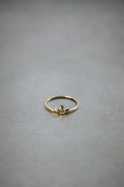 Jyoti - Fair Works Jyoti - Fair Works Ring Paudha Messing – Produktbild 4 von 4