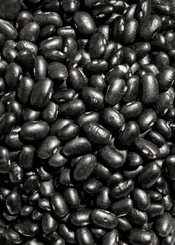 KoRo Schwarze Bio Bohnen 2 kg – Produktbild 1 von 1