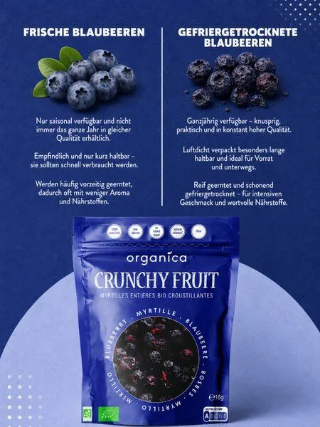 ORGANICA ORGANICA Gefriergetrocknete Bio-Blaubeeren – Produktbild 4 von 4