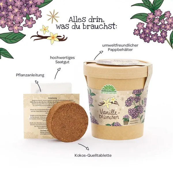 Die Stadtgärtner Die Stadtgärtner Vanilleblume aus dem Becher I Geschenk & Kleinigkeit zu Weihnachten I Weihnachtsgeschenk Frau, Mama, Oma – Produktbild 4 von 4