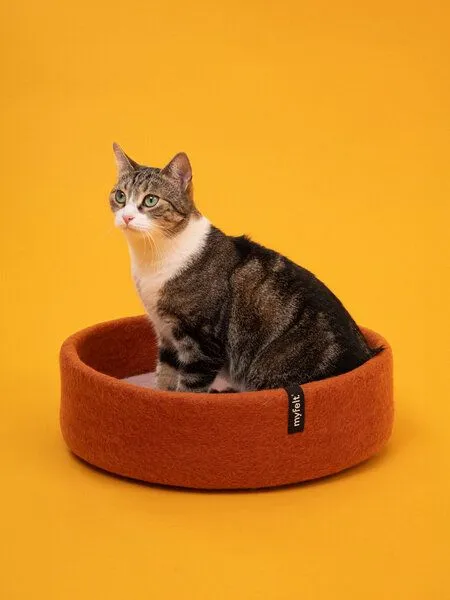 myfelt myfelt Katzenkorb, Anthrazit, rotorange, – Produktbild 1 von 4