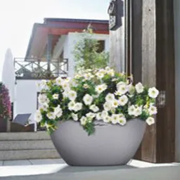 Lechuza® Lechuza® 'Cubeto Stone 40', steingrau, ca. Ø 40 cm – Produktbild 1 von 1