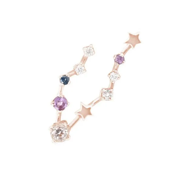 Eppi Eppi Ohrringe mit Sternzeichen Pisces, Rosé, – Produktbild 1 von 3