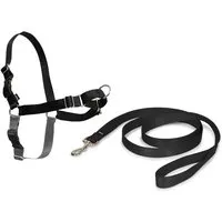 PetSafe PetSafe Easy Walk Anti-Zieh-Hundegeschirr schwarz S – Produktbild 1 von 1