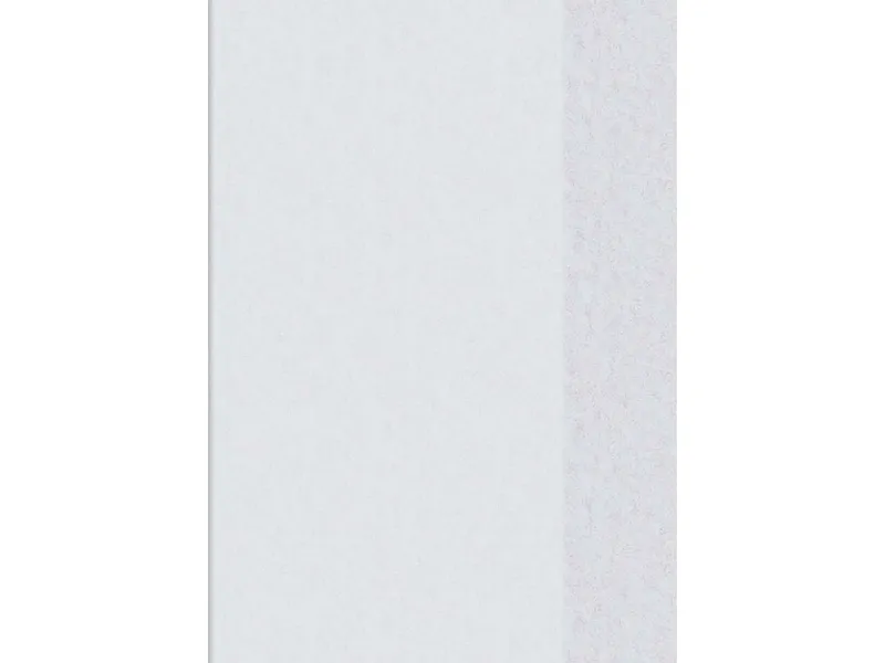 BRUNNEN Brunnen Heftumschlag aus Polypropylen DIN A4, transparent – Produktbild 1 von 1