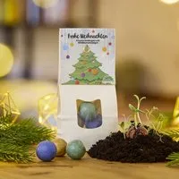 Die Stadtgärtner Die Stadtgärtner Weihnachtskugeln - Bunte Blumenmurmeln – Produktbild 1 von 1