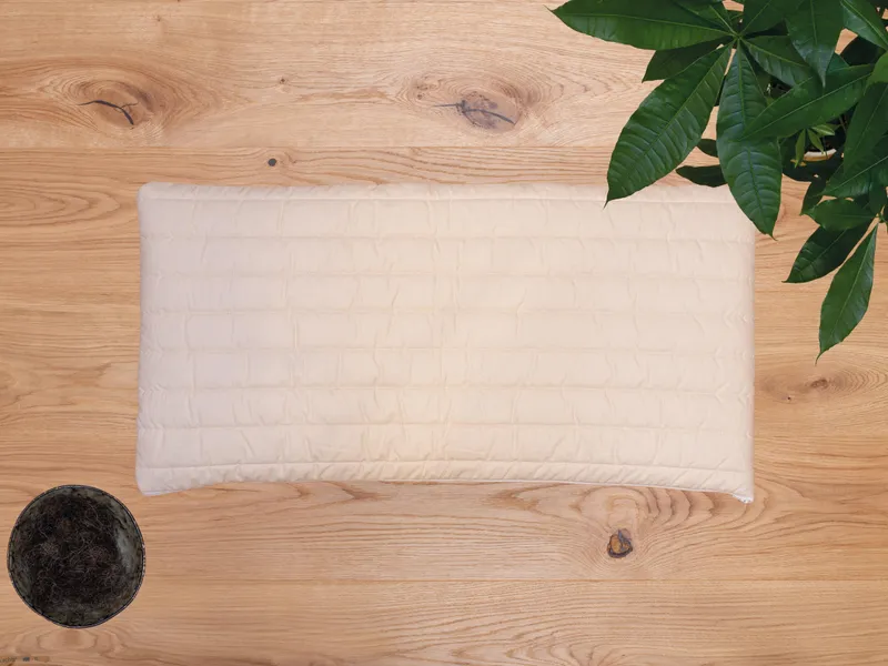 allnatura allnatura Rosshaar-Flachkissen "Equina" | 40x80 cm, Natur, – Produktbild 2 von 2