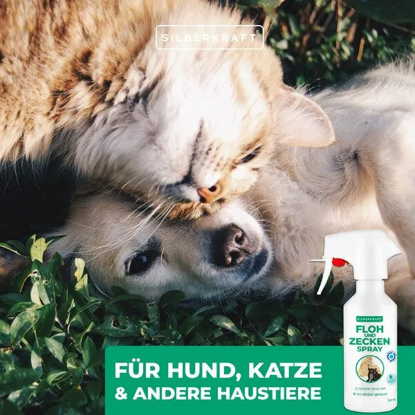 Silberkraft Silberkraft Floh - und Zeckenspray für Hund & Katze – Produktbild 4 von 4