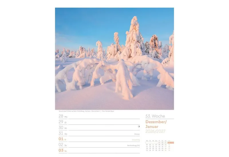 Ackermann Wandkalender Unser Wald Wochenplaner Kalender 2027 – Produktbild 2 von 5