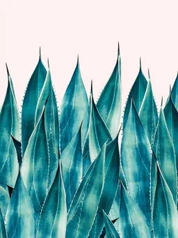 Photocircle Photocircle Poster / Leinwandbild - Summer Agave – Produktbild 1 von 1