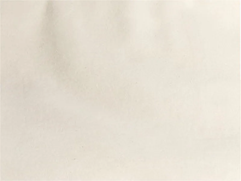 HANS NATUR HANS NATUR Bio-Baumwollstoff Meterware Biber Breite 175 cm, Natur, – Produktbild 1 von 1