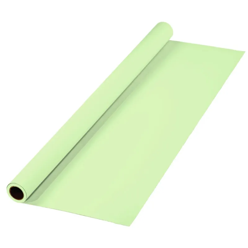 Hama Hama Hintergrund, Karton, 2,75 x 11 m, Apfelgrün, – Produktbild 1 von 1