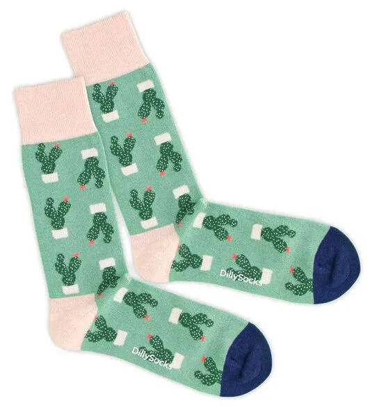 DillySocks DillySocks Socken Succulent aus Biobaumwoll-Mix, Grün, – Produktbild 1 von 4