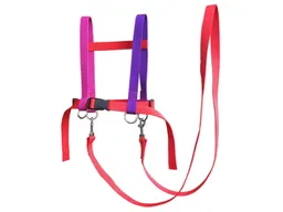 Jamso Pferdeleine und Halfter zum Spielen, bunt-rot Maße 11 x 23 x 6,5 cm – Produktbild 1 von 1