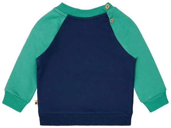 loud + proud loud + proud Babys & Kinder Sweatshirt mit Raglanärmeln, GOTS-zertifiziert, Ultramarine/plant(blau/grün), – Produktbild 2 von 4