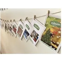 Saatgut Dillmann Saatgut Dillmann Dillmann Saatgut Adventskalender – Produktbild 1 von 1