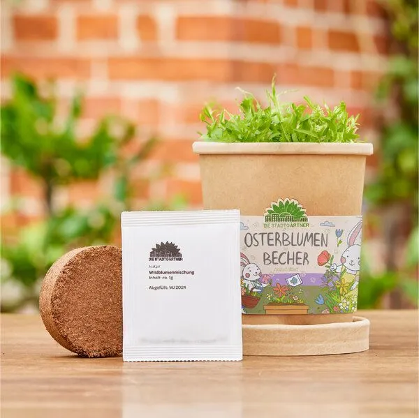 Die Stadtgärtner Die Stadtgärtner Blümchen aus dem Becher I Ostergeschenk für Kinder, Mama, Papa, Erwachsene I Geschenk für den Frühling – Produktbild 4 von 4