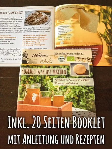 Wellness-Drinks Kombucha - Komplettpaket für 2,5 Liter: Bio Kombucha mit Zubehör – Produktbild 3 von 4