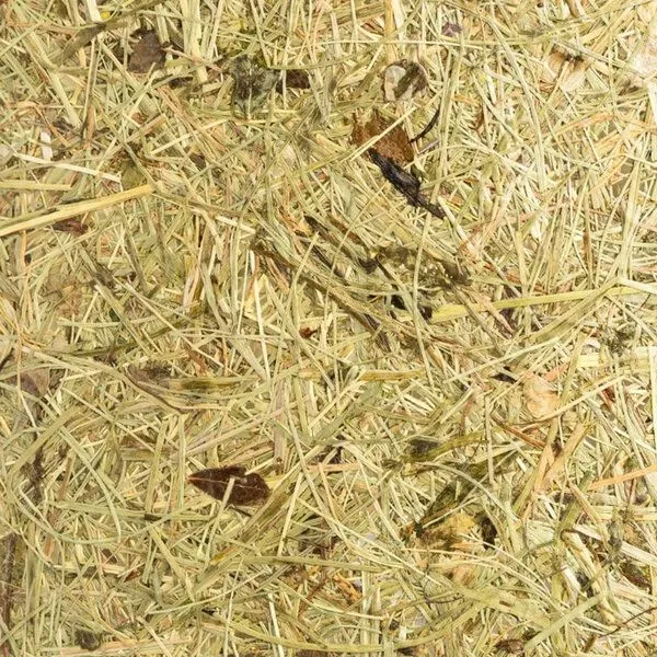 ALMUT von Wildheim ALMUT von Wildheim Moderne Tischlampe aus Eiche Lampenschirm aus Naturmaterialien, Almheu (grün), – Produktbild 1 von 4