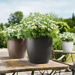 Lechuza® Lechuza® 'Classico Color 35', schiefergrau, ca. Ø 34,5 x H 32,5 cm – Produktbild 1 von 1
