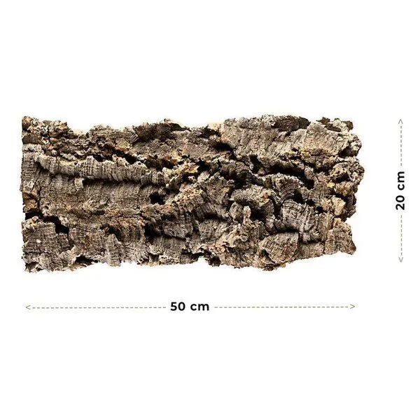 Kork-Deko Kork-Deko Korkrinde: XL Korkstück, 50 x 20 cm – Produktbild 4 von 6