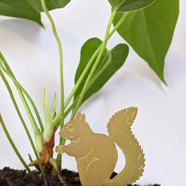 another studio another studio Plant Animal - Design Pflanzendekoration - Figuren aus Messing, Eichhörnchen, – Produktbild 3 von 4