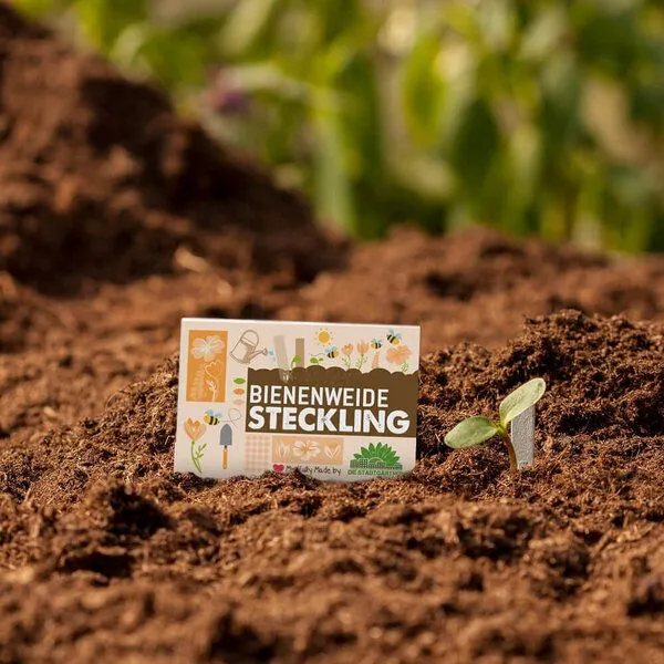 Die Stadtgärtner Die Stadtgärtner Taschengarten Bienenweide Heftchen mit 10 Stiften zum Einpflanzen – Produktbild 4 von 4