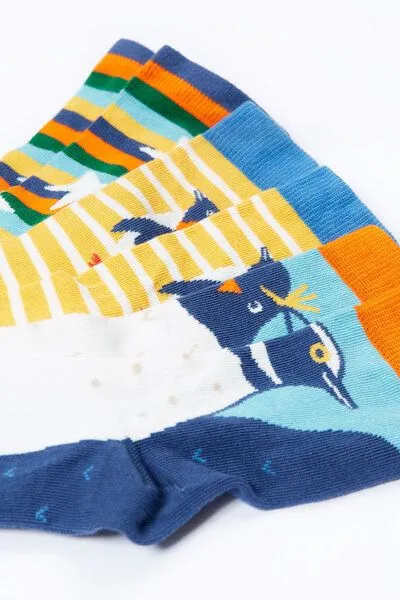 Frugi Frugi Kindersocken in Dreierpack mit Pinguine – Produktbild 3 von 3
