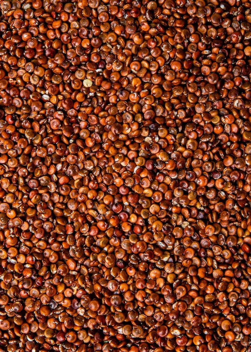 KoRo Rote Bio Quinoa 2 kg – Produktbild 3 von 5