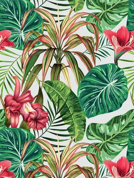 Photocircle Photocircle Poster / Leinwandbild - Tropica – Produktbild 1 von 4
