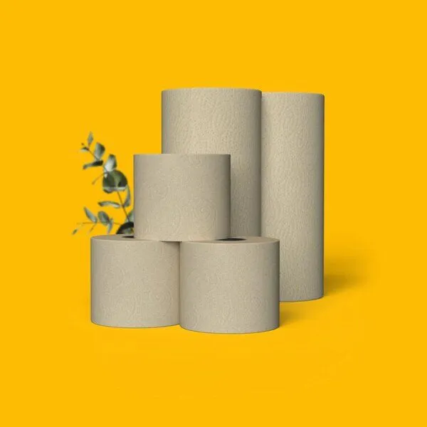 SNYCE SNYCE Spar-Set Toilettenpapier und Küchenrollen - 100% Recycling, Pure, – Produktbild 3 von 3