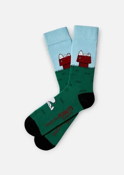 BeSocks BeSocks Bio-Tennissocken - Snoopy auf dem Haus, Farbe grün blau – Produktbild 1 von 3