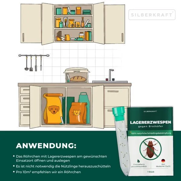 Silberkraft Silberkraft Lagererzwespen gegen Brotkäfer, Tabakkäfer, Kugelkäfer, Messingkäfer (Lariophagus distinguendes, Anisopteromalus calandrae) – Produktbild 4 von 4