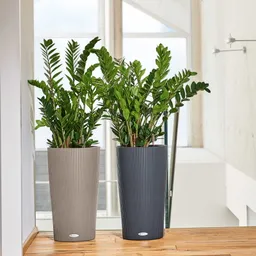 Lechuza® Lechuza® 'Cilindro Color 23', sandbraun, ca. Ø 23 x H 41 cm – Produktbild 1 von 1