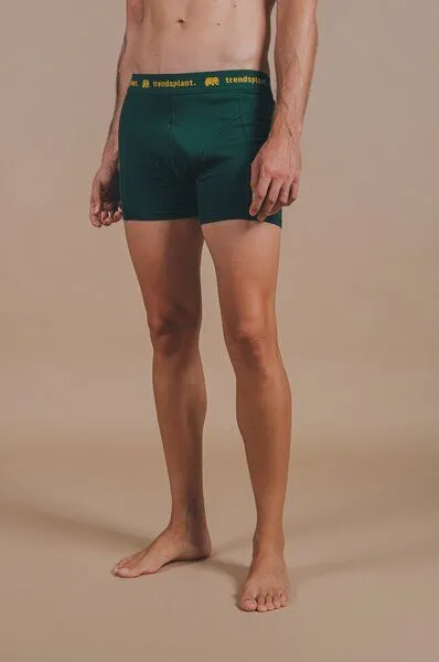 Trendsplant Trendsplant Organic Essential Boxer Briefs Green, Grün, – Produktbild 4 von 4