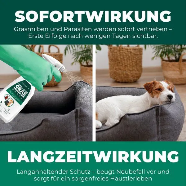 Silberkraft Silberkraft Grasmilben Ex Hund & Katze – Produktbild 4 von 4