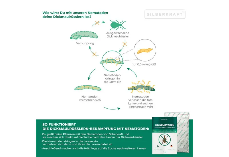 Silberkraft Silberkraft HB Nematoden zur Bekämpfung von Dickmaulrüsslern – Produktbild 5 von 5