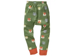 HANS NATUR Kinder Unterhose lang Bio-Baumwolle Waldtiere Gr. 110/116 – Produktbild 1 von 1