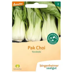 Bingenheimer Saatgut Pak Choi Yorokobi – Produktbild 1 von 1
