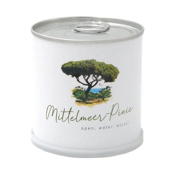 MacFlowers MacFlowers Echte Mittelmeerpinie - italienische Steinkiefer in Dose – Produktbild 1 von 2