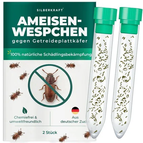 Silberkraft Silberkraft Ameisenwespchen - Cephalonomia tarsalis (CephiTop®) – Produktbild 4 von 4