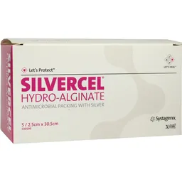 Solventum Germany SILVERCEL Hydroalginat Tamponade 2,5x30,5 cm 5 St Tamponaden – Produktbild 1 von 1