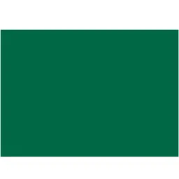 folia folia Fotokarton 50x70cm 300g/m² Tannengrün – Produktbild 1 von 1