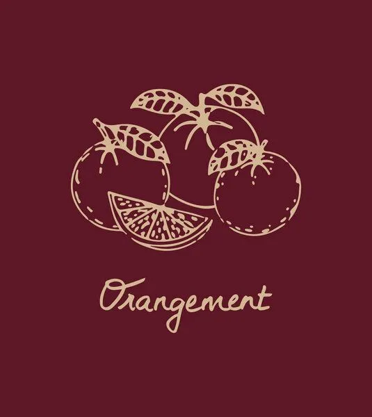 Gary Mash GARY MASH Shirt Asheville Orangement aus Bio-Baumwolle, Burgund (rot), – Produktbild 3 von 4