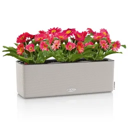 Lechuza® Lechuza® 'Cube Color Triple', sandbraun, ca. 40 x 14 x H 13,5 cm – Produktbild 1 von 1